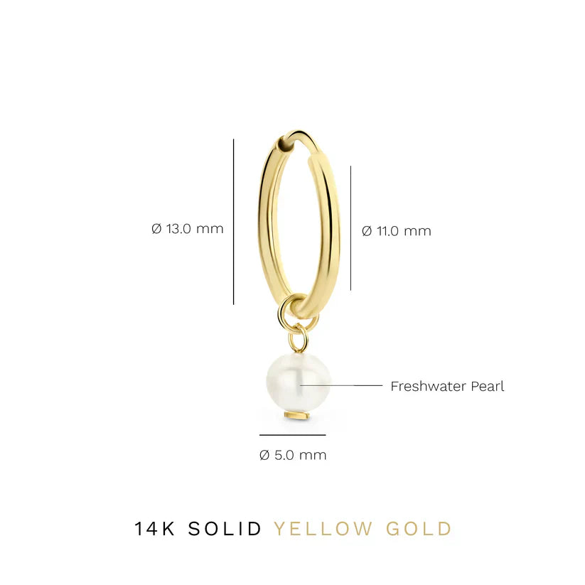 Faye Hoop earrings with crystals | Gold